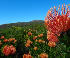 Give A Little Back - Weekend Inspiration